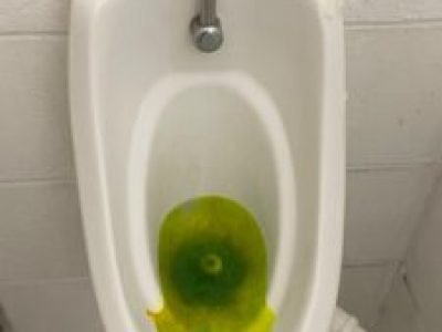 Dye test showing a confirmed blocked urinal at a Ford site in Stockport.